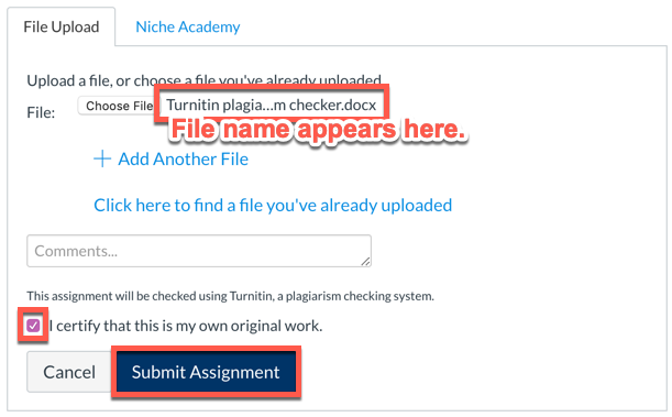 Assignment submission screen with document name listed and originality box selected with submit button highlighted
