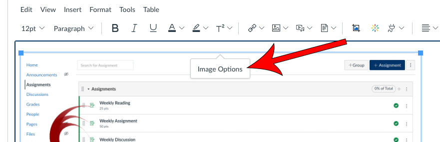 Arrow pointing at Image Options button