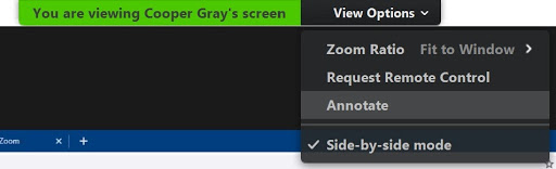 Zoom window showing view options drop-down menu with the annotation item highlighted