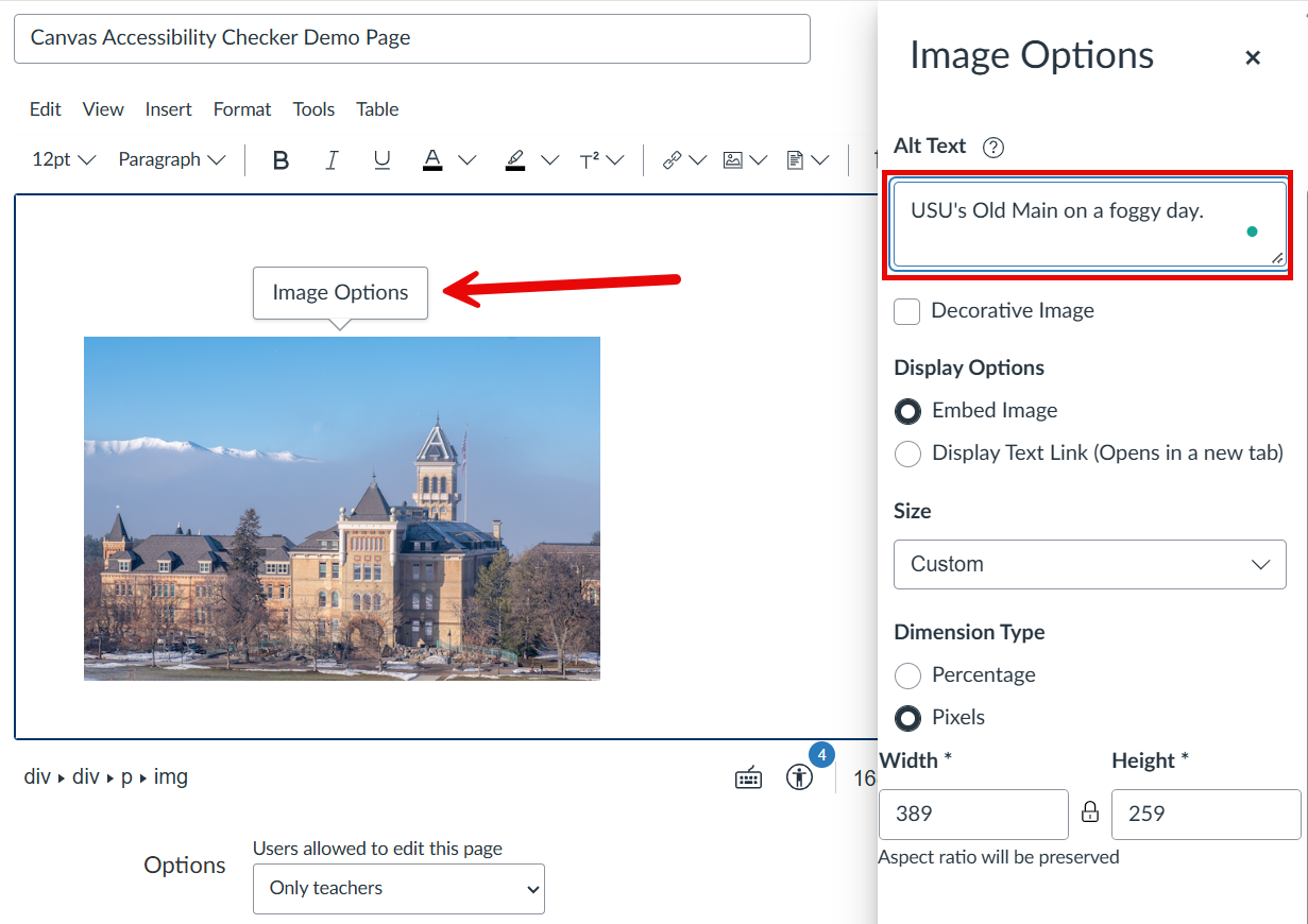 The Image Options menu on a Canvas page, showing a field to add alt text.