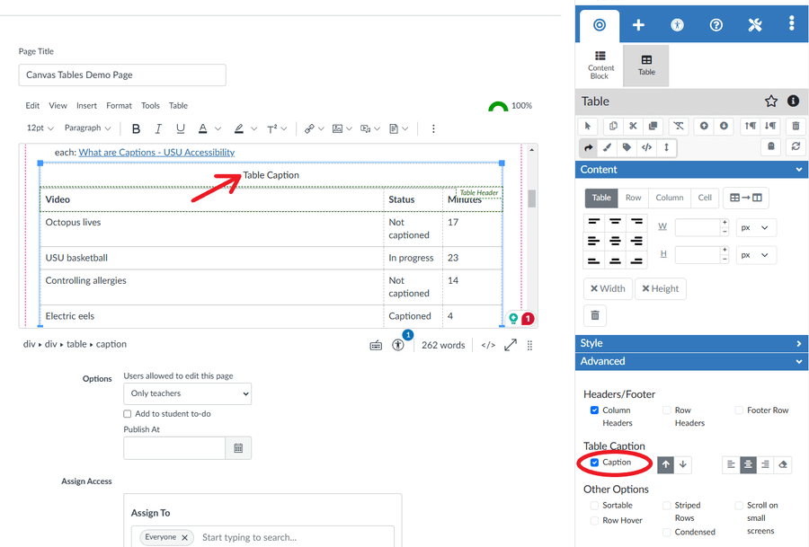 Adding a table caption with CIDILabs DesignPlus.