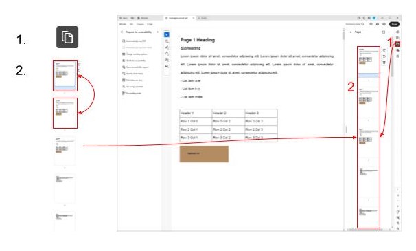 Two screenshots showing the location of the pages icon and how to re-order the pages. The left screenshot shows close up images of the steps to re-order the pages. The two steps include 1. the pages icon: two pages stacked on top of one another, the front one has a folded corner 2. the pages scroll bar showing the different pages of the document. The first and second page are highlighted by red boxes with an arrow pointing between the two, indicating the way to re-order the pages. The right screenshot is a full window screenshot  showing the location of the icon and the list of pages on the right side of the screen. Both the pages and the icon are highlighted by red boxes with a red arrow pointing from the pages icon to the pages. Red numbers next to the red boxes show the order in which the user should move throughout the page. The screenshots are connected with a red arrow.