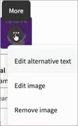close up of the Alt Text menu on Hootsuite's photo editor