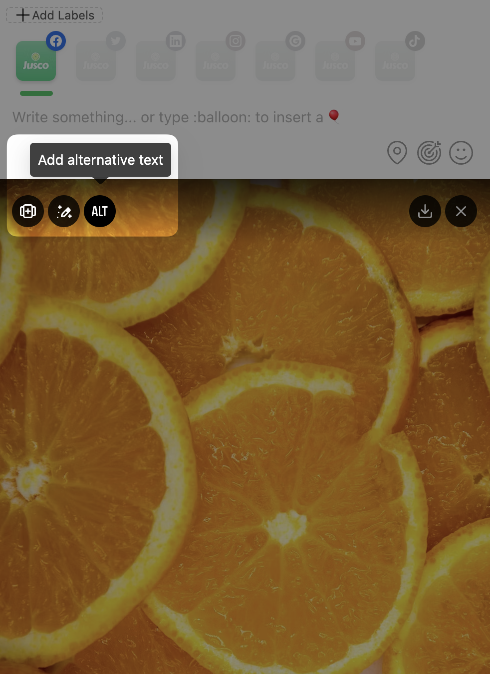 Planable's mobile image editor showcasing the Alt Text button.