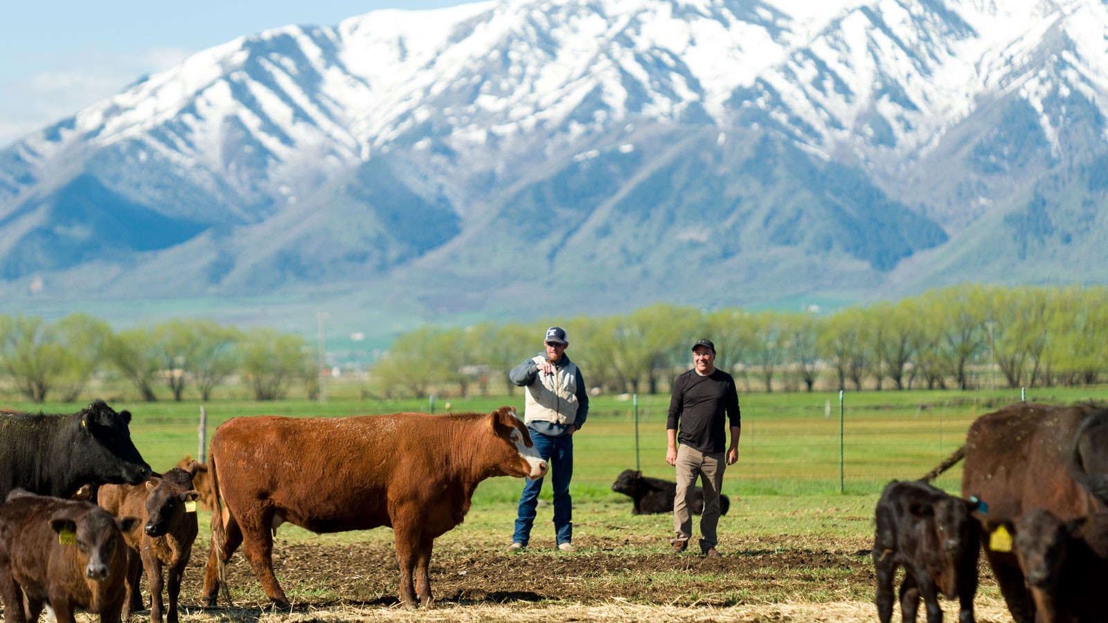 $1M Schultz Foundation Gift Advances Planned Western Institute of Ranch & Resource Management at USU