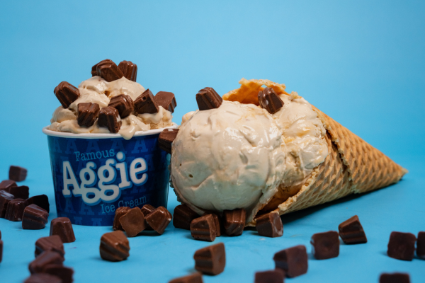 Salted Caramel Ice Cream