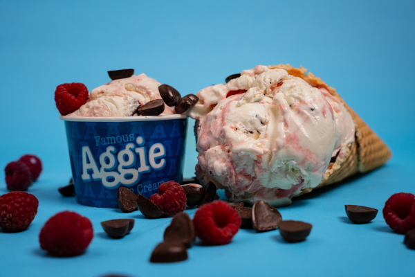 True Aggie Night Ice Cream