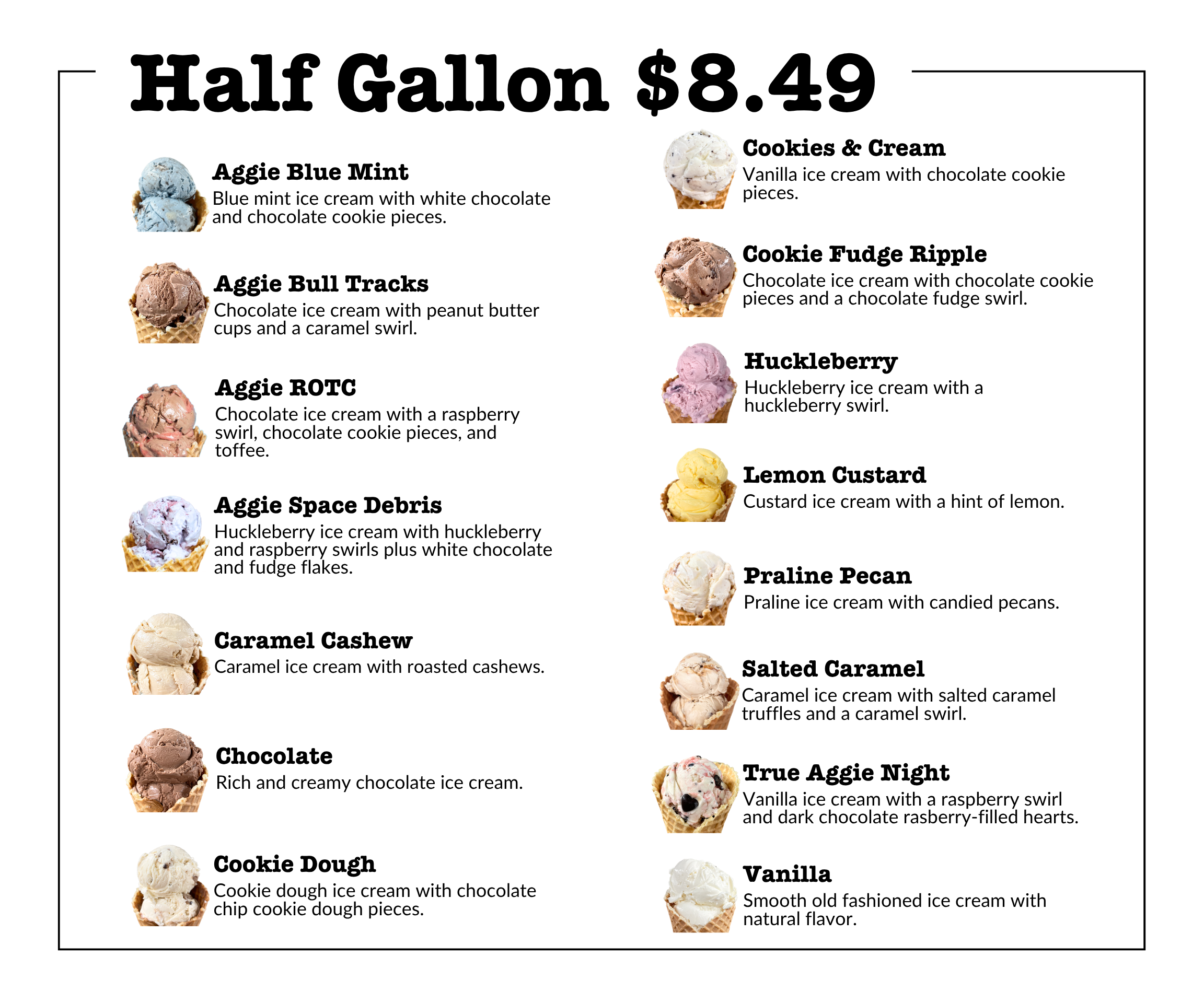 list of ice cream available to take home in gallons