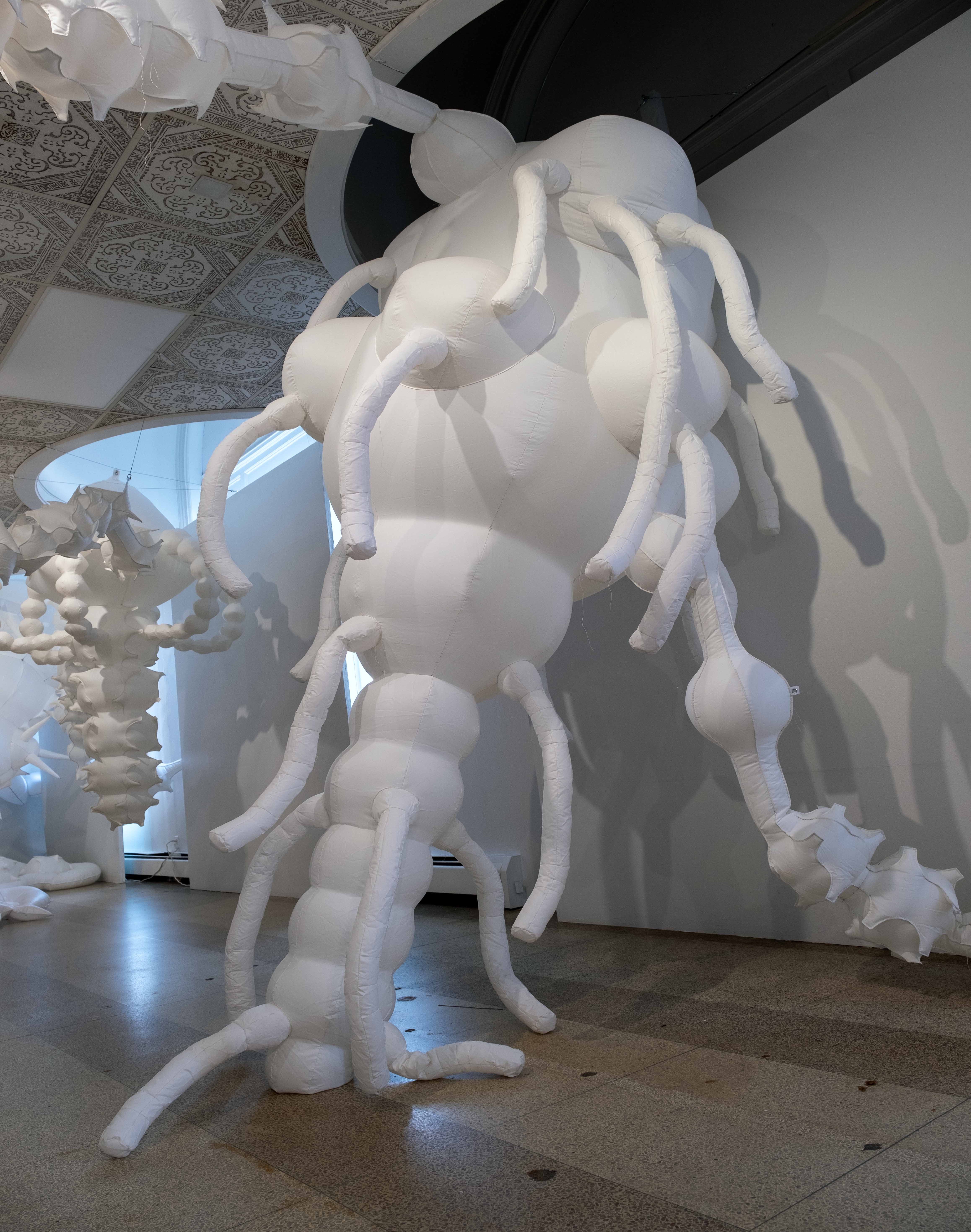 Nicole Banowetz: The Intervening Substance