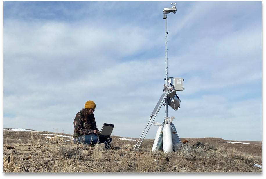 Summer 2020 Newsletter