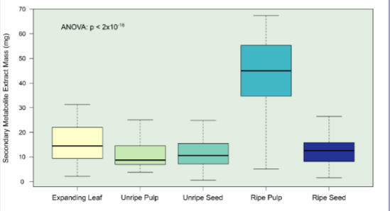 Secondary Metabolite Extract Mass in milligrams box graphs for the expanding leaf, unripe pulp, unripe seed, ripe pulp, and ripe seed. ANOVA p-value < 2 times ten to the negative 16.