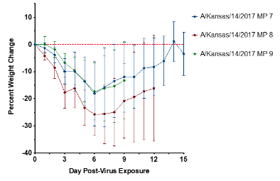 line graph showing the percent weight change of BALB/c mice infected with influenza A/Kansas/14/2017 MP7-MP9 (without mannan). Without the use of mannan, the virus caused significant weight loss in infected mice. 