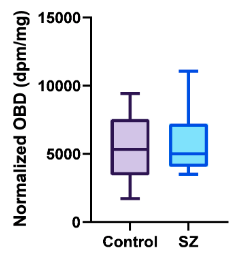 A bar graph comparing the Control and SZ specimens to the normalized OBD. (Numbers are approximated.) Control has a min of 2,000, an average of 5,000, and a max of 9,000. The SZ specimens had a min of 4,000, an average of 5,000, and a max of 11,000.  