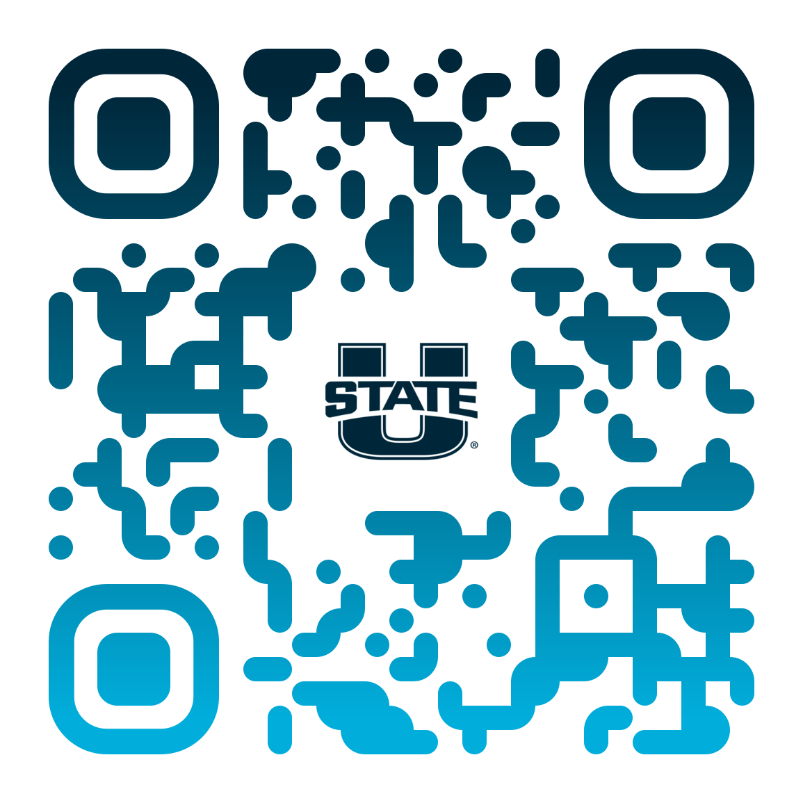 QR Example for color gradient