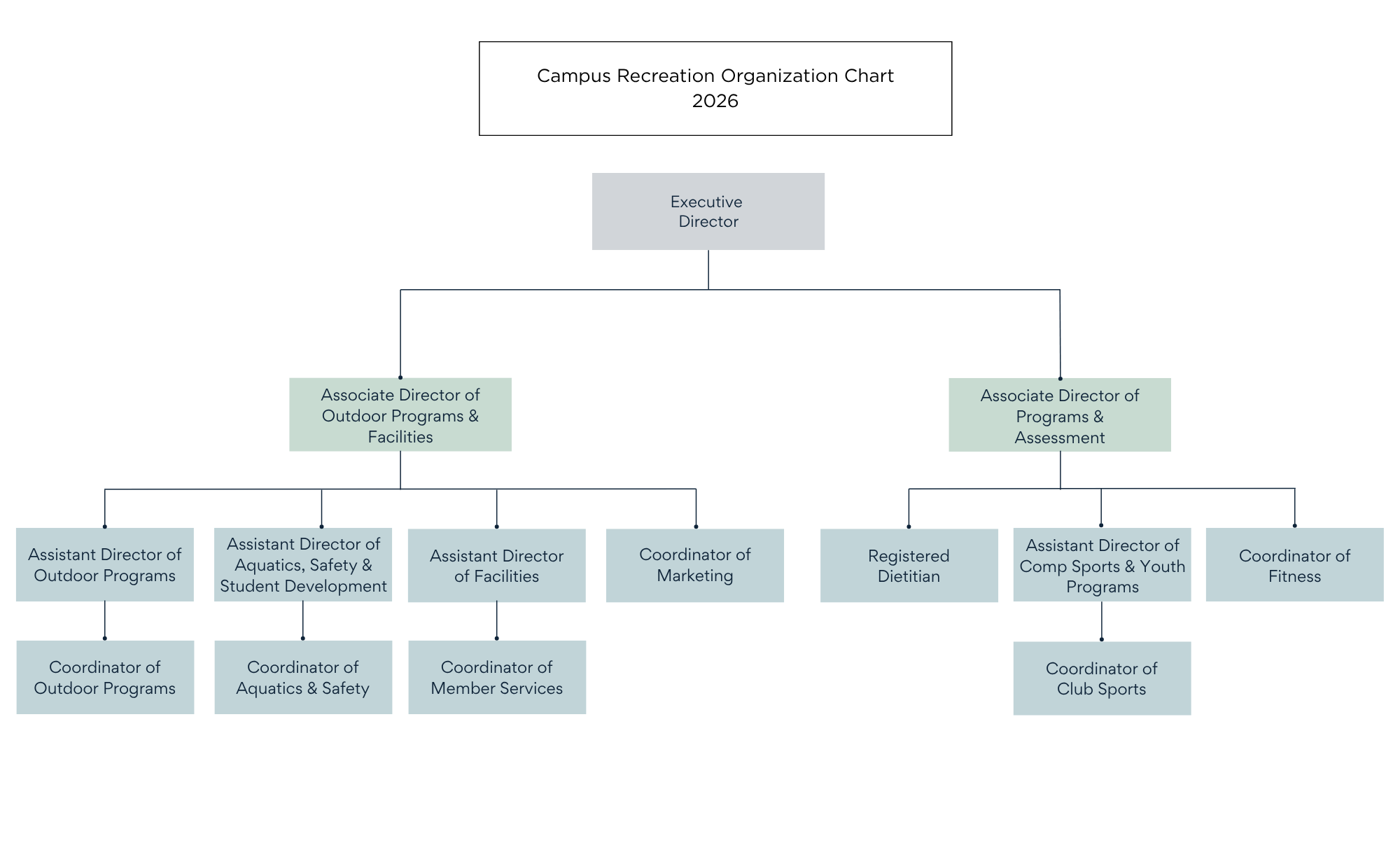 organization chart for campus recreation staff