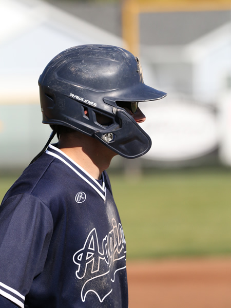 baseball1