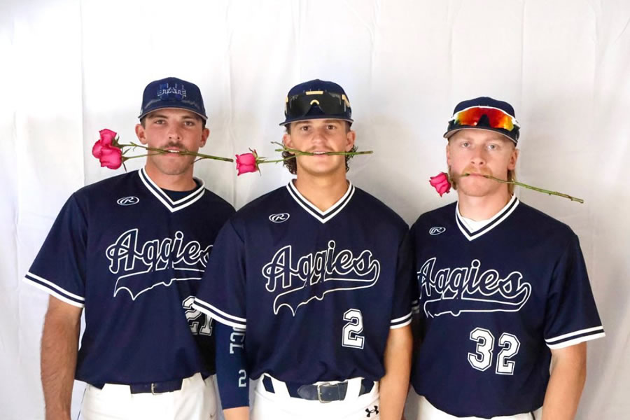 baseball5