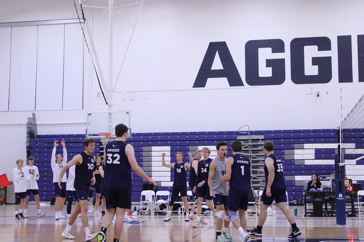 mens volleyball game