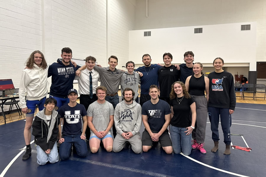 team members