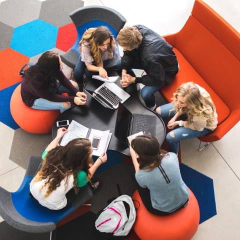 A group of students studying