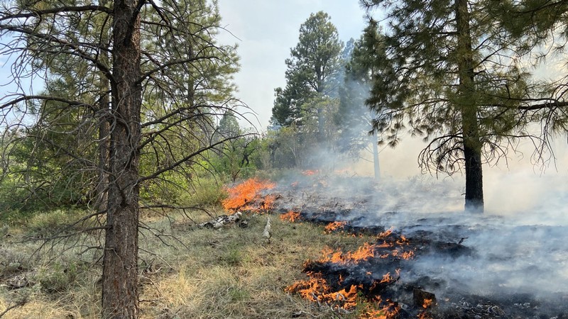 Ask an Expert: Monsoons Could Impact Utah Wildfire Season