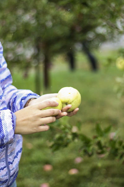 gleaning