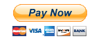 example of a Pay Now button