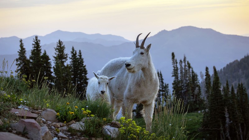 A Wider Lens: Winners announced for 2026 Field Season Photo Contest