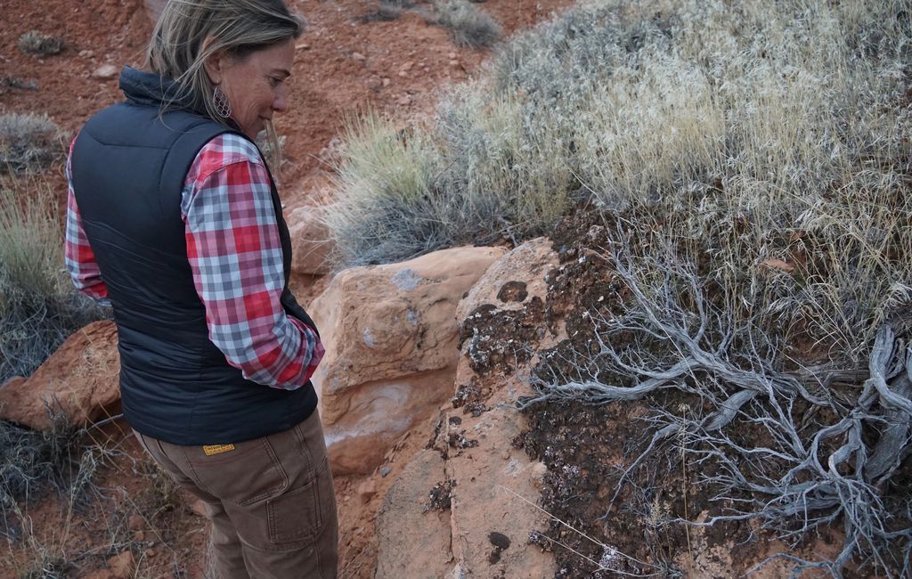 Scientists in Moab are working to understand how climate change will impact desert biocrusts