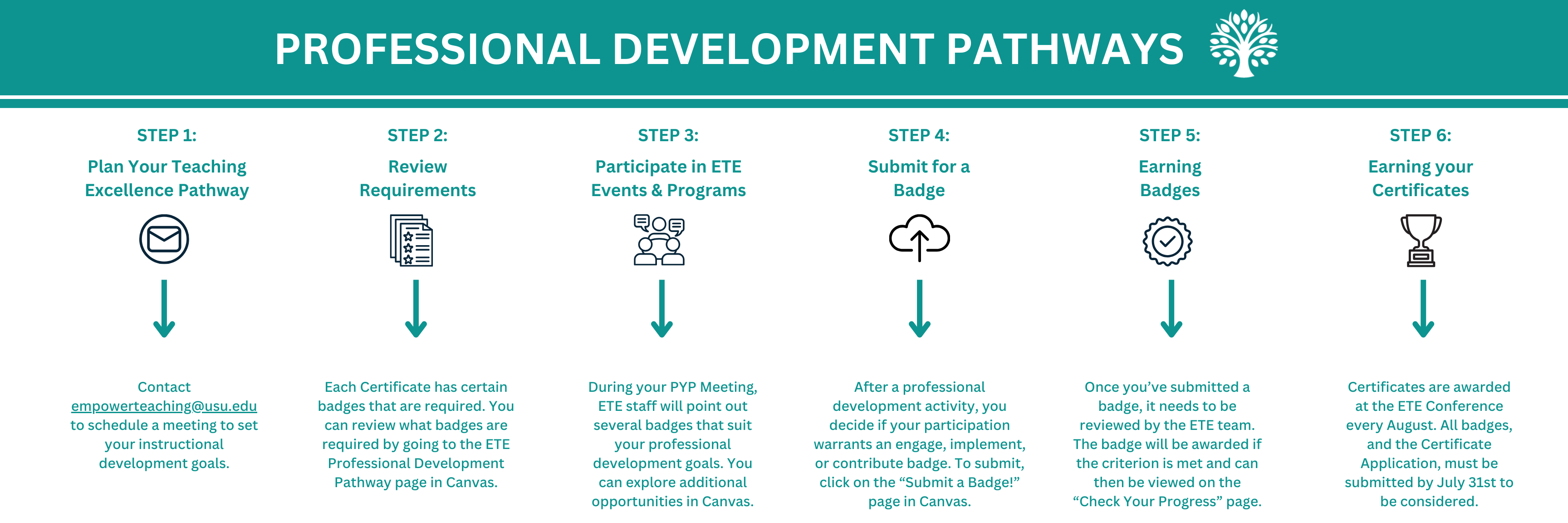 Professional Development Pathways