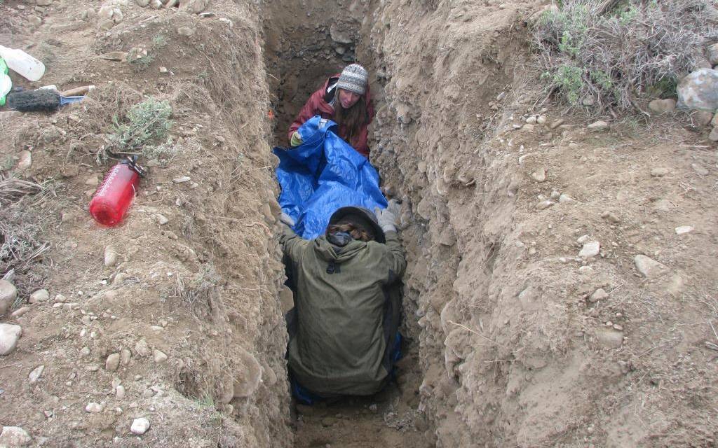 students work down inside a trench