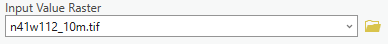 value raster input