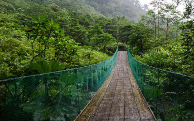 Bridge in the rain forest of Costa Rica