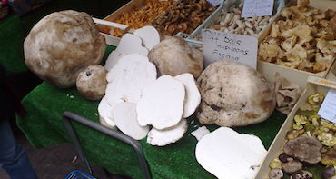 Puffballs on sale at a market
