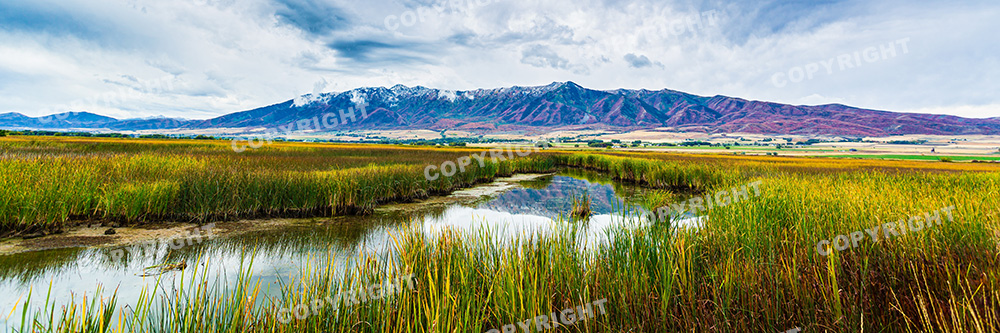 Valley bed marsh in Cache Valley, Utah