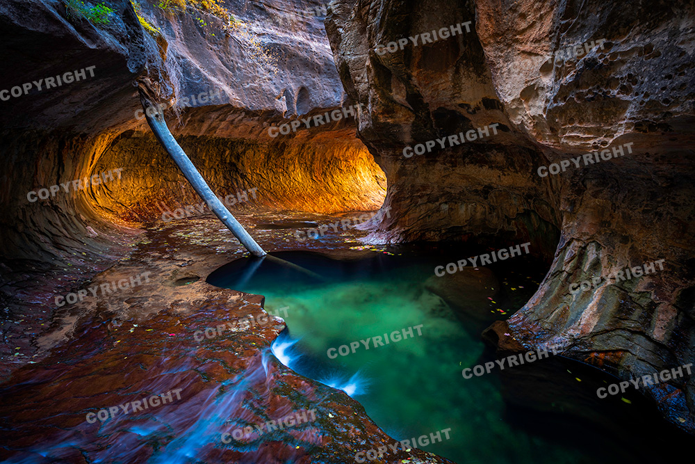 "The Narrows" hike in Zion National Park