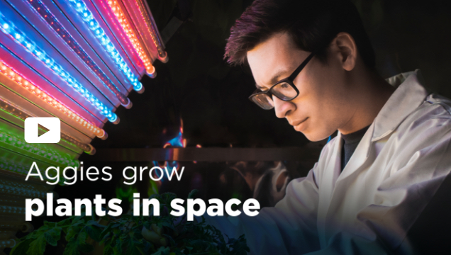 Aggies grow plants in space