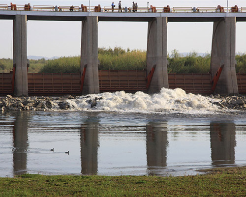 New: The State of the Colorado River Delta: Effects of Environmental Water Deliveries, 2014-2025