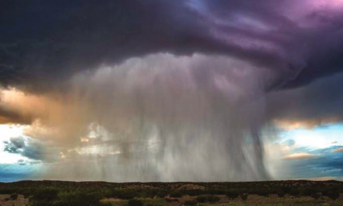 White Paper 6: Alternative Management Paradigms For The Future Of The Colorado And Green Rivers