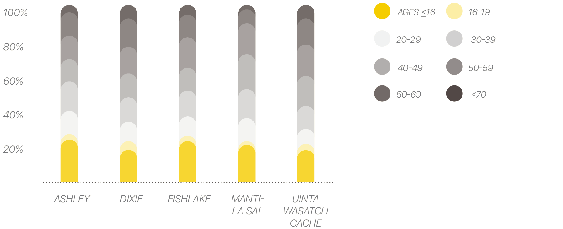 Age of vistors graph