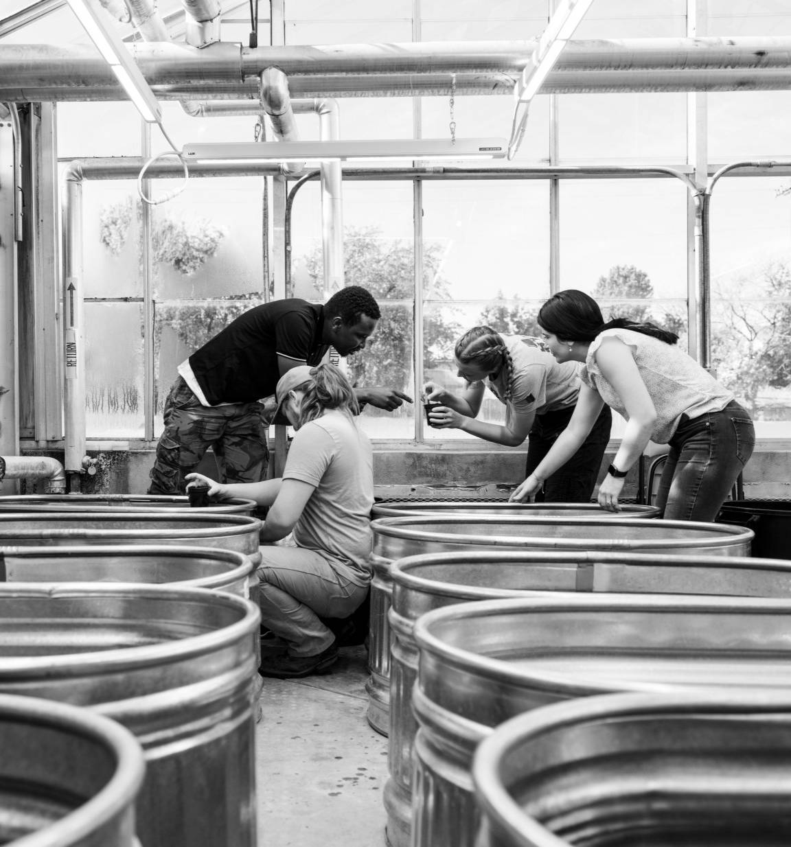 DR. ORTIZ AND USU STUDENTS STUDY EURASIAN WATERMILFOIL | JARED RAGLAND