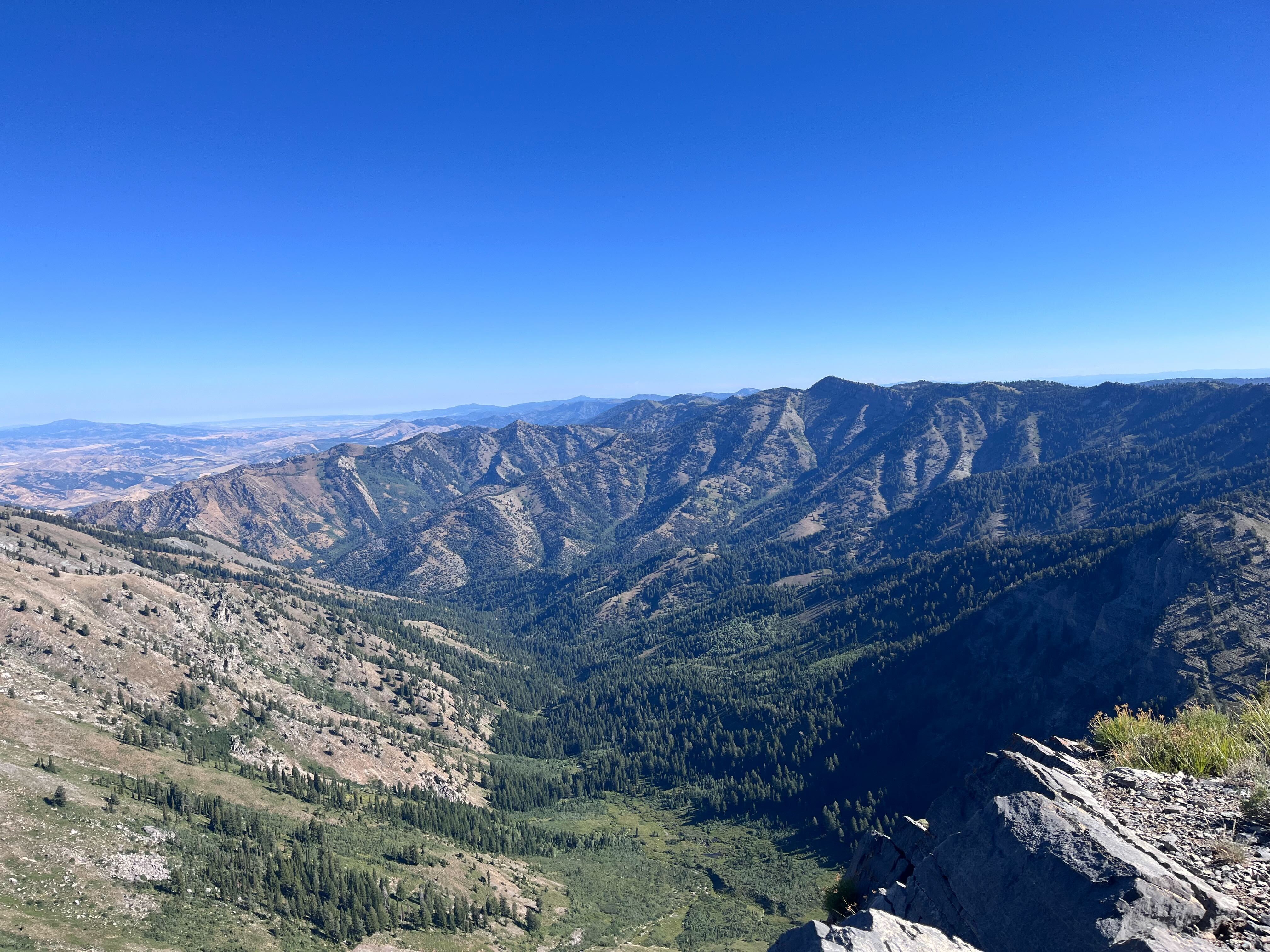An aerial view of a forested mountain valley