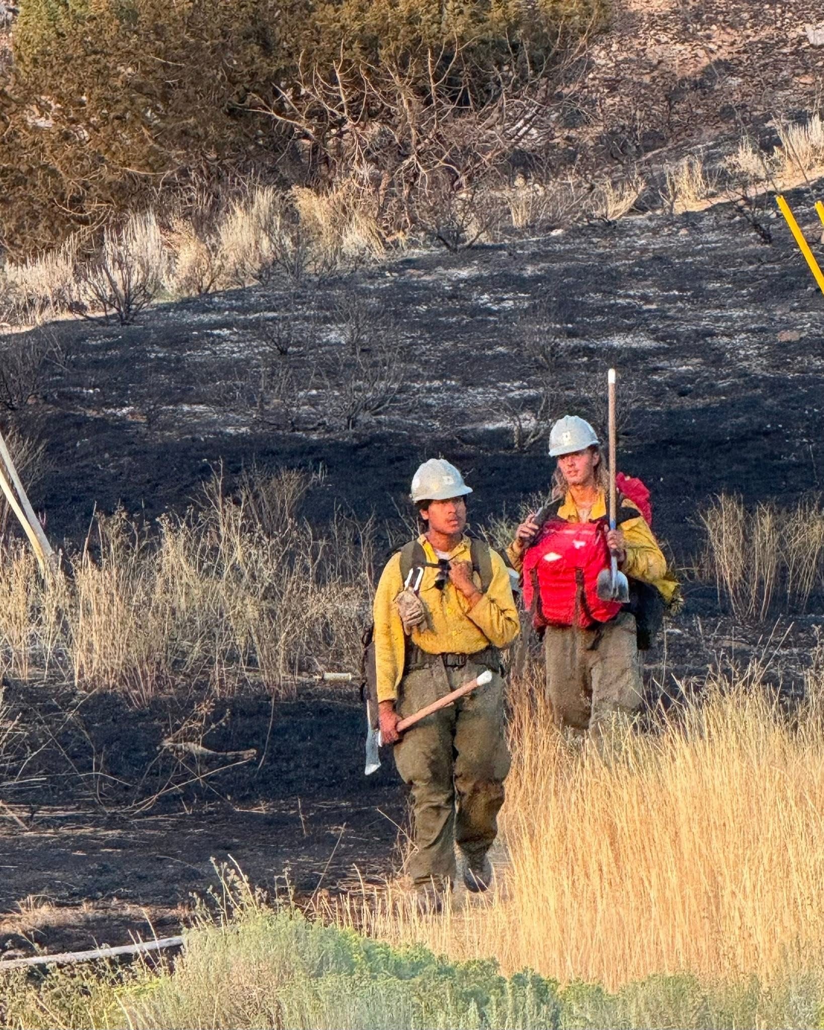 firefighters walking through a field