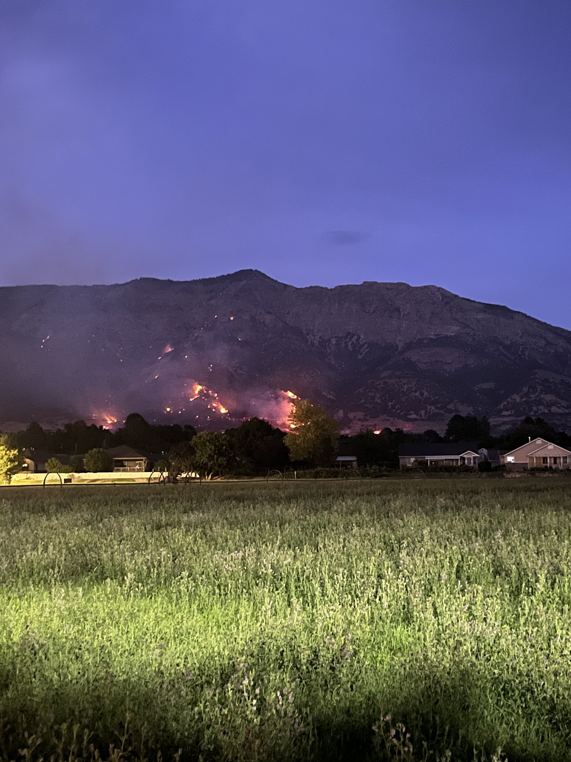 A wildfire across a field in distant trees, mountain silhouette in the background