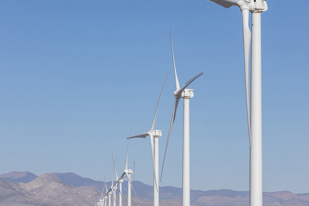 Milford Windmills in a line