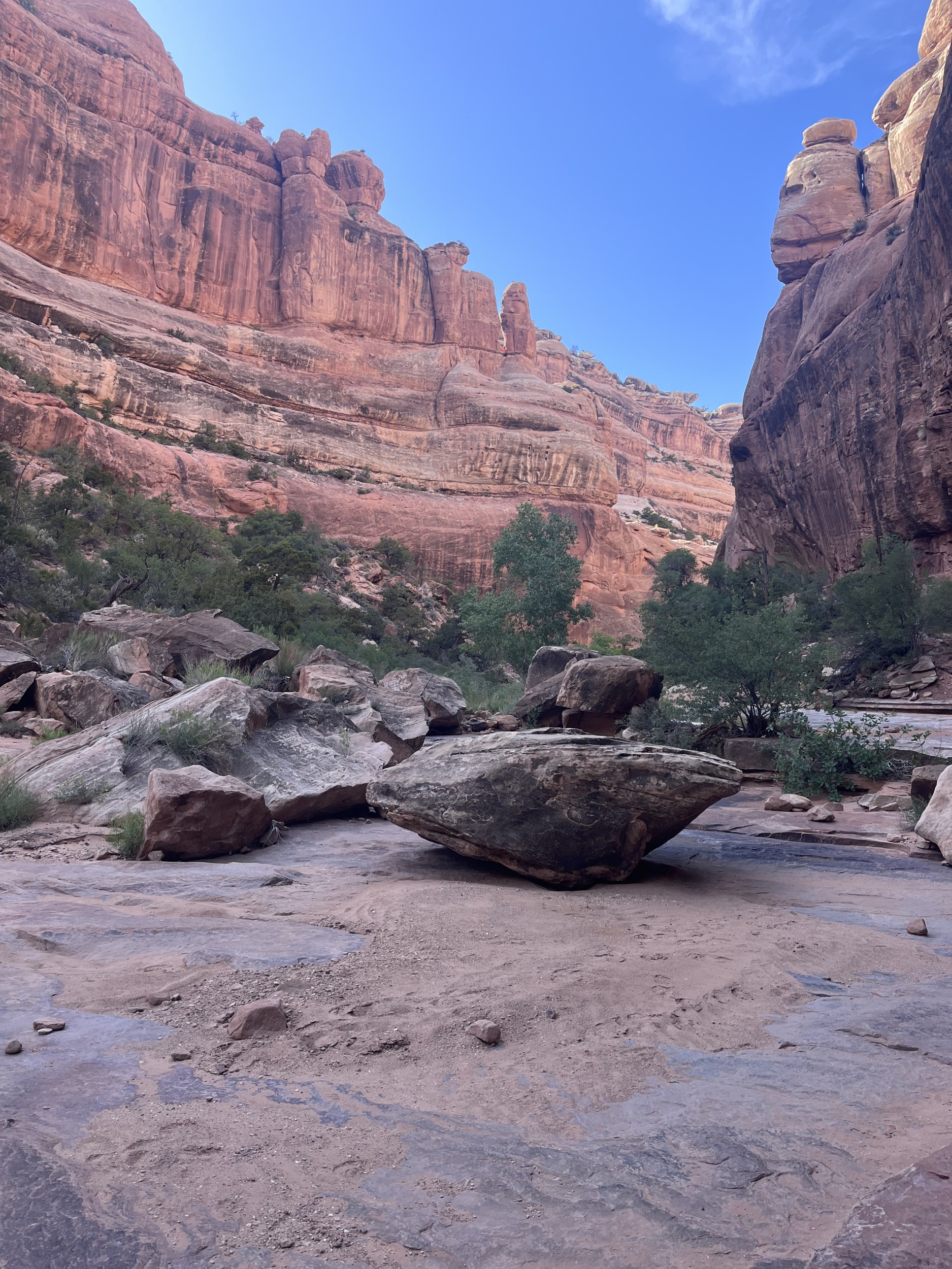 Redrock canyon walls