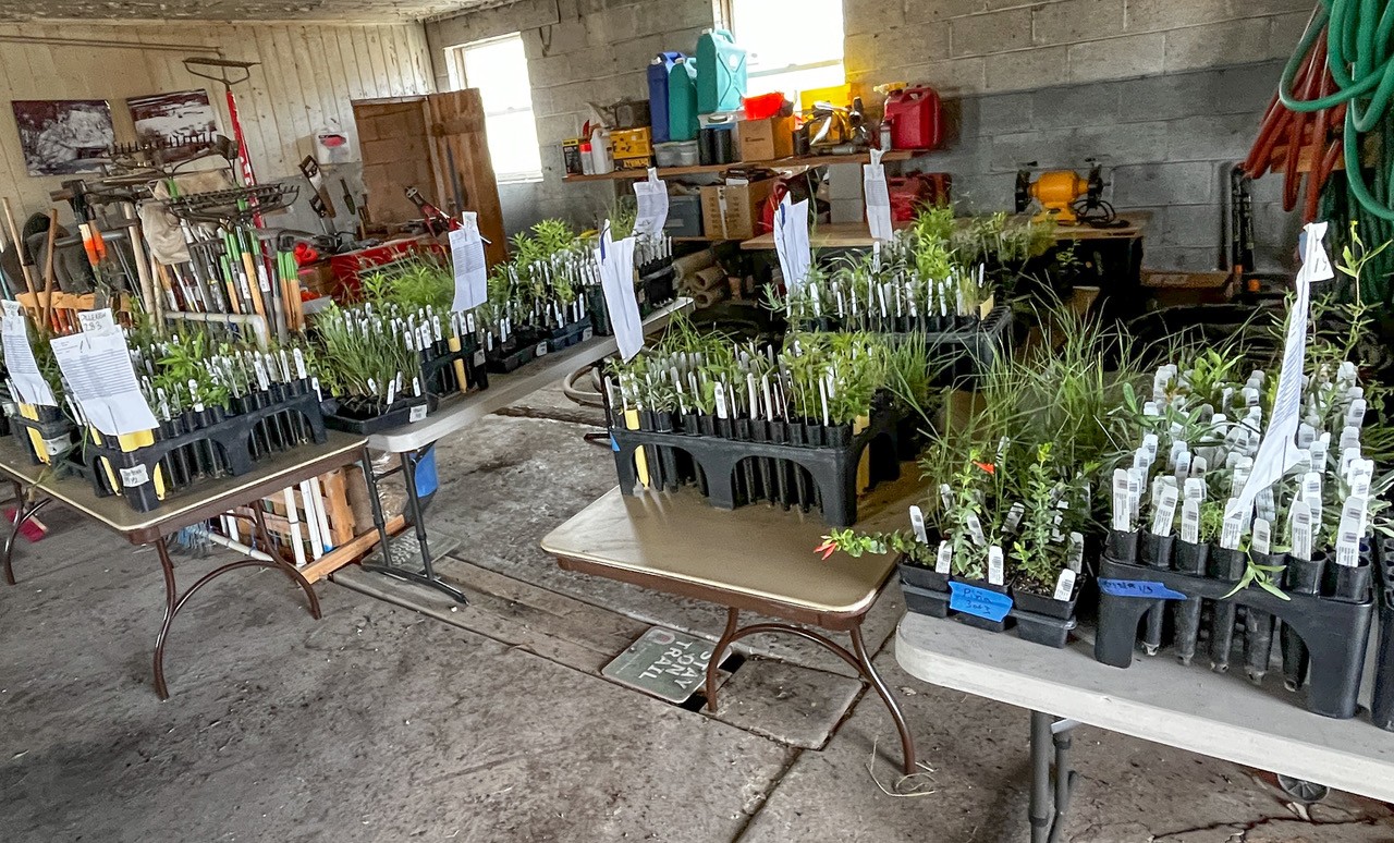 pollinator habitat kits arranged on various tables