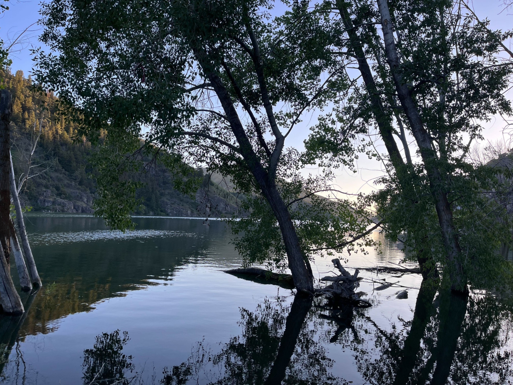 A mountain lake with trees rising out of its surface