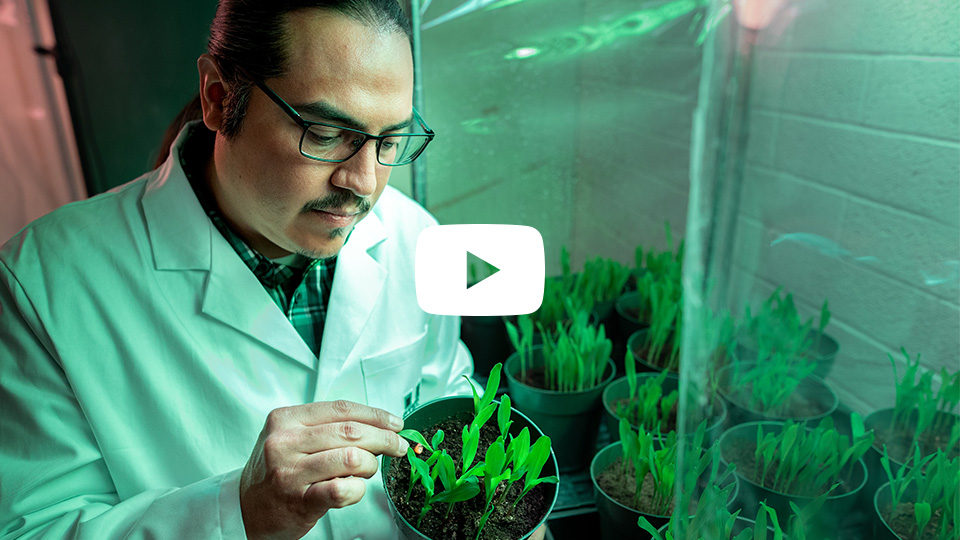 USU scientist holding plant