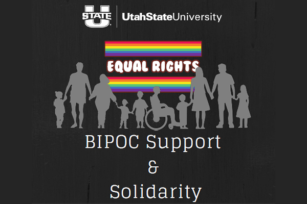 BIPOC Support & Solidarity logo
